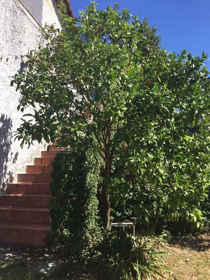 Ghirindoun Apartment Celle Ligure